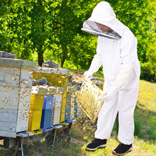 Load image into Gallery viewer, image_1