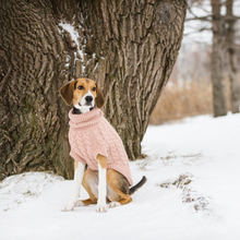 Load image into Gallery viewer, Chalet Dog Sweater - Pink