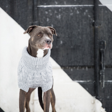 Load image into Gallery viewer, Chalet Dog Sweater - Grey