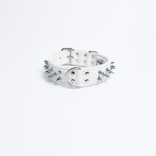 Load image into Gallery viewer, Amsterdam