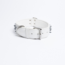 Load image into Gallery viewer, Amsterdam