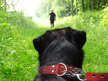 Load image into Gallery viewer, Amsterdam