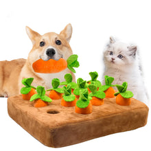 Load image into Gallery viewer, Dog Carrot Toy Mat