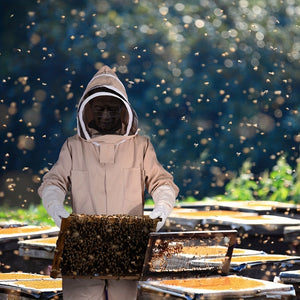 Beekeeping Suit: Full Body Protection & Fencing Veil for Beginner & Commercial Beekeepers - 1pc