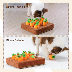 Dog Carrot Toy Mat