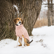 Load image into Gallery viewer, Chalet Dog Sweater - Pink
