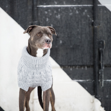 Load image into Gallery viewer, Chalet Dog Sweater - Grey
