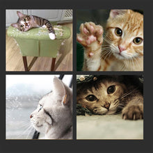 Load image into Gallery viewer, Magic Organ Cat Scratching Board
