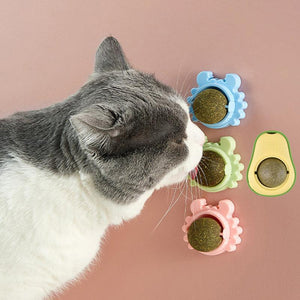 Catnip Balls