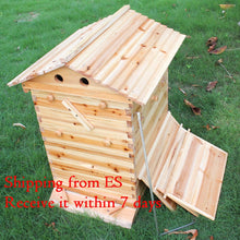 Load image into Gallery viewer, Wooden Beehive Box and 7 Beehive Frames Beekeeping Tools Honey Self
