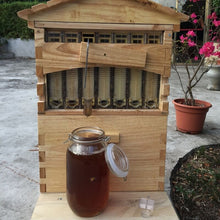 Load image into Gallery viewer, Wooden Beehive Box and 7 Beehive Frames Beekeeping Tools Honey Self
