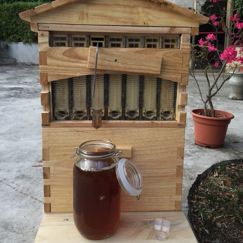 Wooden Beehive Box and 7 Beehive Frames Beekeeping Tools Honey Self