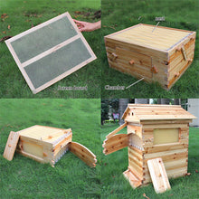 Load image into Gallery viewer, Wooden Beehive Box and 7 Beehive Frames Beekeeping Tools Honey Self
