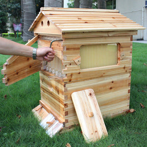 Wooden Beehive Box and 7 Beehive Frames Beekeeping Tools Honey Self